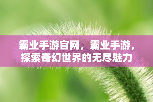 霸业手游官网，霸业手游，探索奇幻世界的无尽魅力