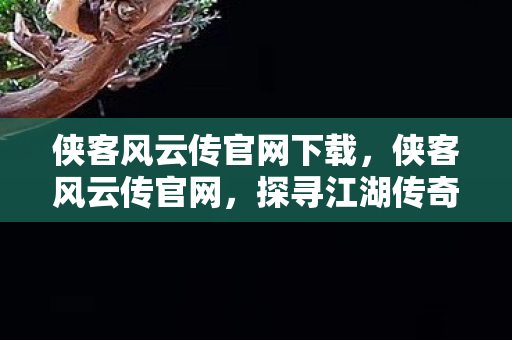 侠客风云传官网下载，侠客风云传官网，探寻江湖传奇的门户