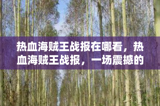 热血海贼王战报在哪看，热血海贼王战报，一场震撼的海上战役
