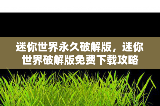 迷你世界永久破解版，迷你世界破解版免费下载攻略