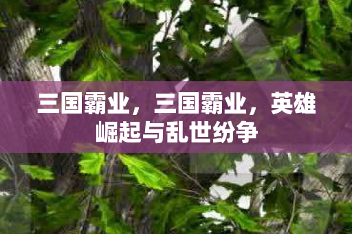 三国霸业，三国霸业，英雄崛起与乱世纷争