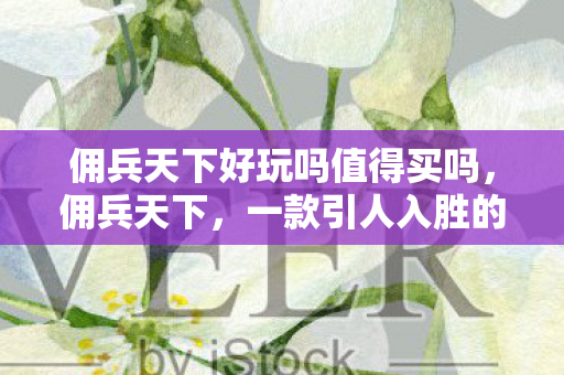 佣兵天下好玩吗值得买吗，佣兵天下，一款引人入胜的游戏体验