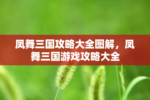凤舞三国攻略大全图解，凤舞三国游戏攻略大全