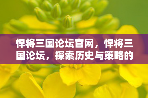 悍将三国论坛官网，悍将三国论坛，探索历史与策略的游戏殿堂
