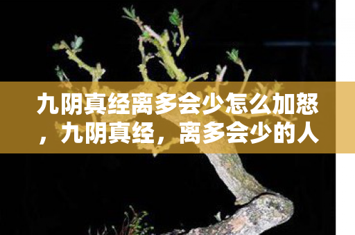 九阴真经离多会少怎么加怒，九阴真经，离多会少的人生启示