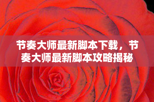 节奏大师最新脚本下载，节奏大师最新脚本攻略揭秘