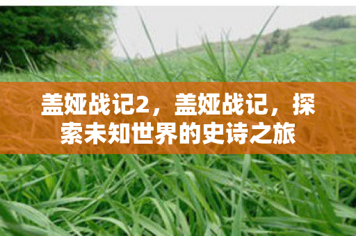 盖娅战记2，盖娅战记，探索未知世界的史诗之旅