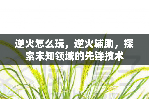 逆火怎么玩，逆火辅助，探索未知领域的先锋技术