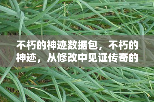 不朽的神迹数据包，不朽的神迹，从修改中见证传奇的重生