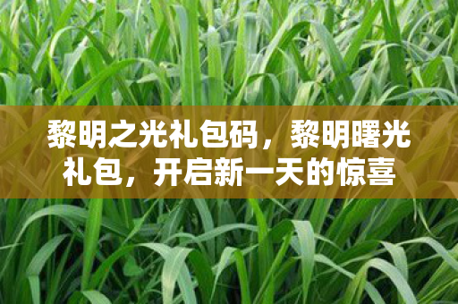 黎明之光礼包码，黎明曙光礼包，开启新一天的惊喜