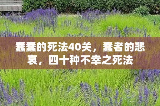 蠢蠢的死法40关，蠢者的悲哀，四十种不幸之死法
