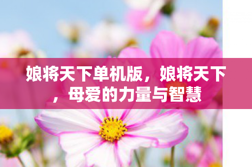 娘将天下单机版，娘将天下，母爱的力量与智慧