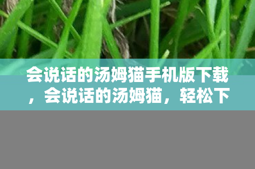 会说话的汤姆猫手机版下载，会说话的汤姆猫，轻松下载体验乐趣无限
