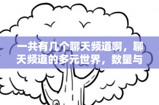 一共有几个聊天频道啊，聊天频道的多元世界，数量与多样性探讨