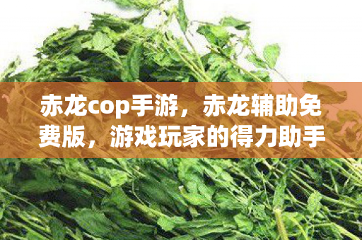 赤龙cop手游，赤龙辅助免费版，游戏玩家的得力助手