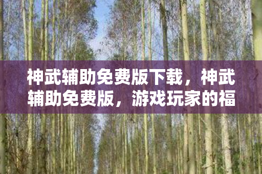 神武辅助免费版下载，神武辅助免费版，游戏玩家的福音