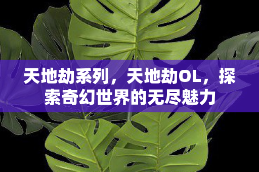 天地劫系列，天地劫OL，探索奇幻世界的无尽魅力