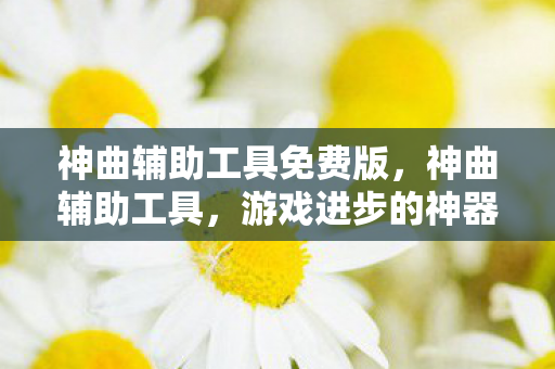 神曲辅助工具免费版，神曲辅助工具，游戏进步的神器