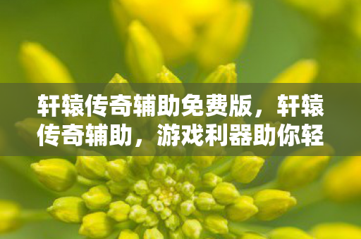 轩辕传奇辅助免费版，轩辕传奇辅助，游戏利器助你轻松登顶