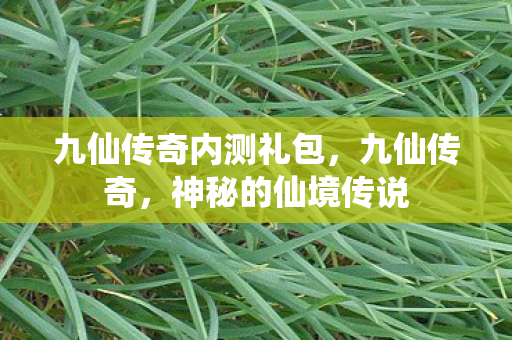 九仙传奇内测礼包，九仙传奇，神秘的仙境传说