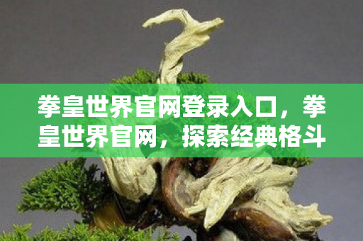 拳皇世界官网登录入口，拳皇世界官网，探索经典格斗游戏的新纪元