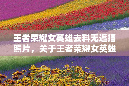 王者荣耀女英雄去料无遮挡照片，关于王者荣耀女英雄的图片欣赏，无遮挡呈现