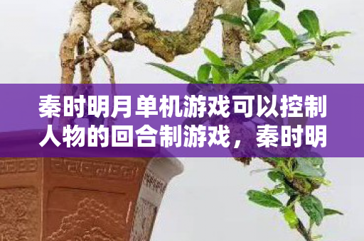 秦时明月单机游戏可以控制人物的回合制游戏，秦时明月单机游戏，历史与奇幻的交融