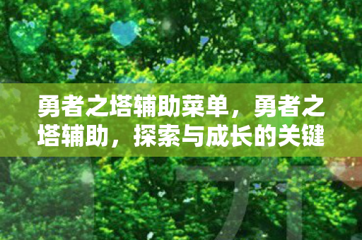 勇者之塔辅助菜单，勇者之塔辅助，探索与成长的关键伙伴