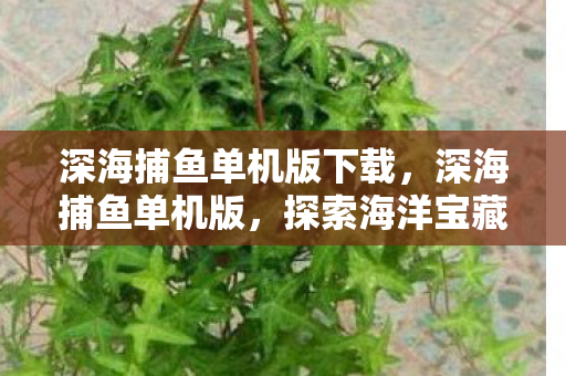 深海捕鱼单机版下载，深海捕鱼单机版，探索海洋宝藏的乐趣