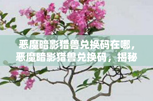 恶魔暗影猎兽兑换码在哪，恶魔暗影猎兽兑换码，揭秘与获取攻略