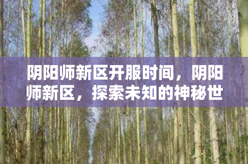 阴阳师新区开服时间，阴阳师新区，探索未知的神秘世界
