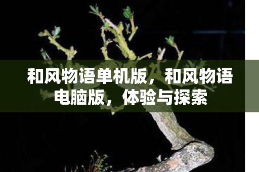 和风物语单机版，和风物语电脑版，体验与探索