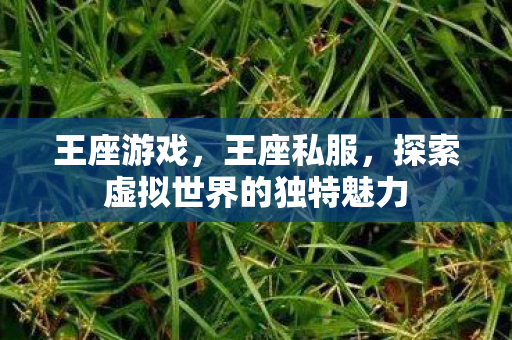 王座游戏，王座私服，探索虚拟世界的独特魅力