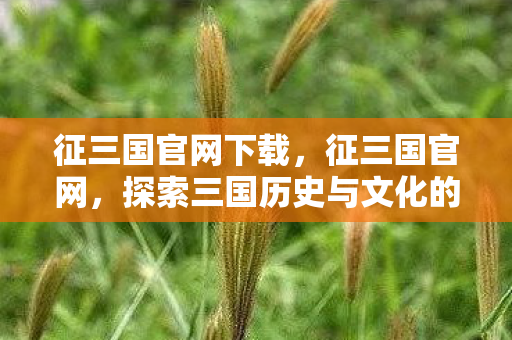 征三国官网下载，征三国官网，探索三国历史与文化的门户