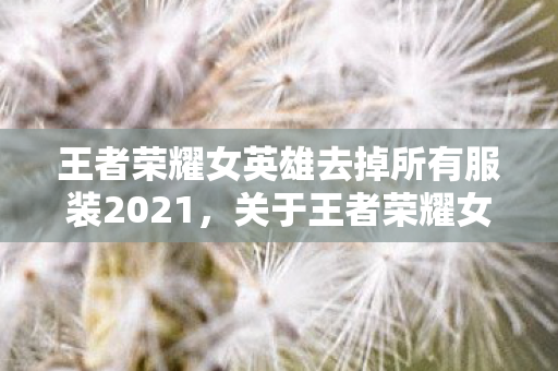 王者荣耀女英雄去掉所有服装2021，关于王者荣耀女英雄的形象重塑—去掉服装的无水印探讨