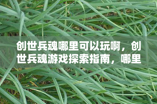 创世兵魂哪里可以玩啊，创世兵魂游戏探索指南，哪里可以畅玩？