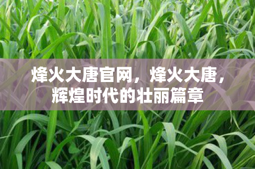 烽火大唐官网，烽火大唐，辉煌时代的壮丽篇章