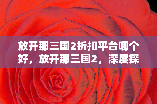 放开那三国2折扣平台哪个好，放开那三国2，深度探索这款策略游戏的魅力