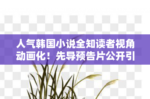 人气韩国小说全知读者视角动画化！先导预告片公开引发期待热潮