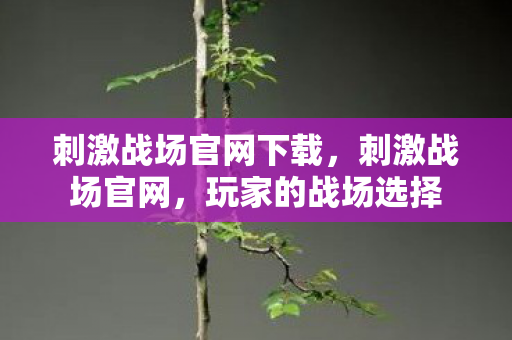刺激战场官网下载，刺激战场官网，玩家的战场选择
