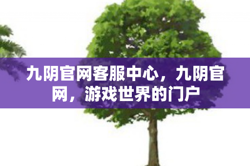 九阴官网客服中心，九阴官网，游戏世界的门户