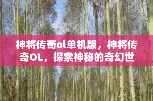 神将传奇ol单机版，神将传奇OL，探索神秘的奇幻世界