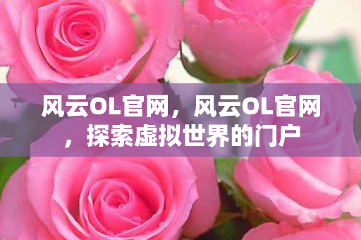 风云OL官网，风云OL官网，探索虚拟世界的门户