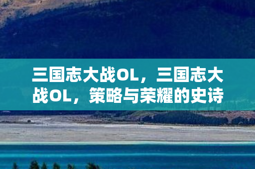 三国志大战OL，三国志大战OL，策略与荣耀的史诗战场