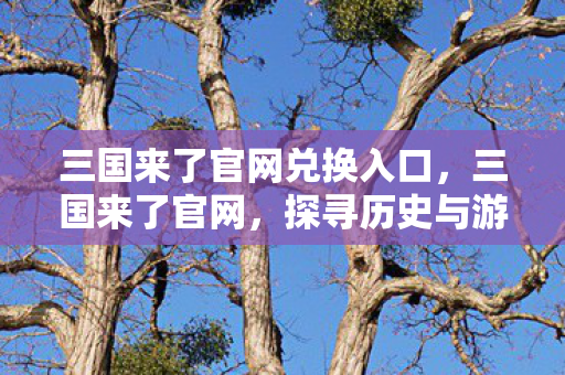 三国来了官网兑换入口，三国来了官网，探寻历史与游戏的交融之地