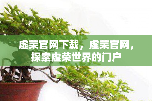 虚荣官网下载，虚荣官网，探索虚荣世界的门户