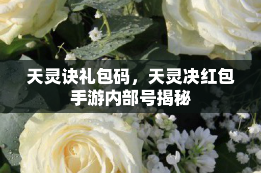 天灵诀礼包码，天灵决红包手游内部号揭秘