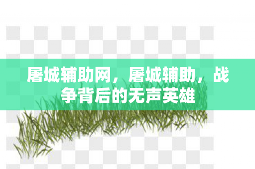 屠城辅助网，屠城辅助，战争背后的无声英雄