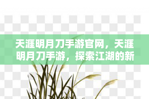 天涯明月刀手游官网，天涯明月刀手游，探索江湖的新篇章