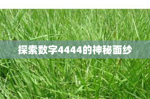探索数字4444的神秘面纱